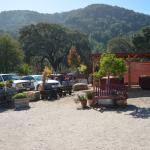 Cambria_2015_0134 (November 07, 2015)